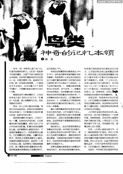 鸟类神奇的记忆本领