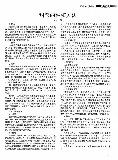 甜菜的种植方法
