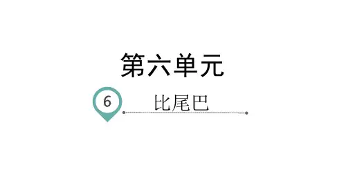一年级上册语文课件-课文6比尾巴-人教部编版ppt(共41张)