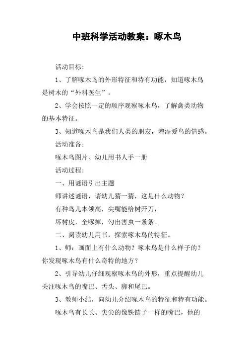 中班科学活动教案——啄木鸟