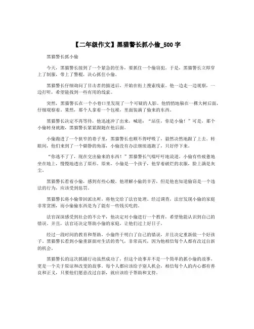 【二年级作文】黑猫警长抓小偷_500字
