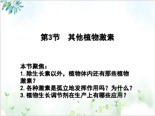 [人教版]《其他植物激素》精品课件1