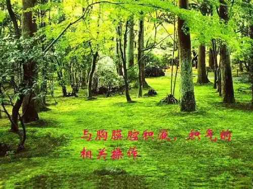 胸腔操作规范