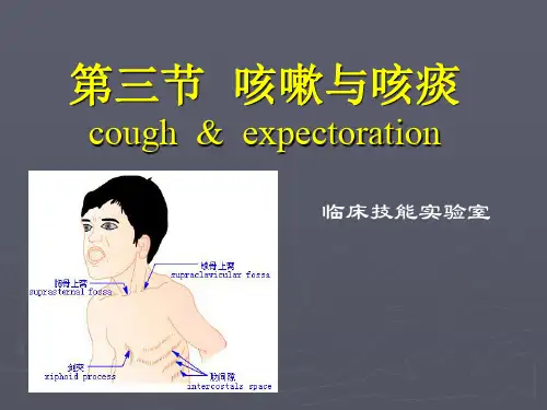 《咳嗽与咳痰》PPT课件