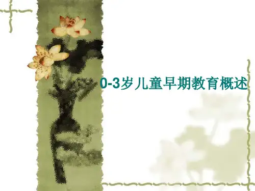 0--3岁儿童早期教育概述