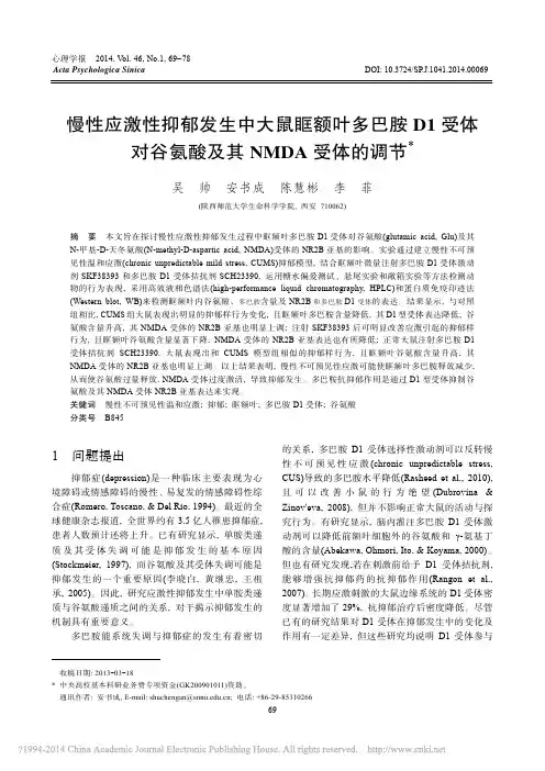 慢性应激性抑郁发生中大鼠眶额叶多巴胺D1 受体 对谷氨酸及其NMDA 受体的调节