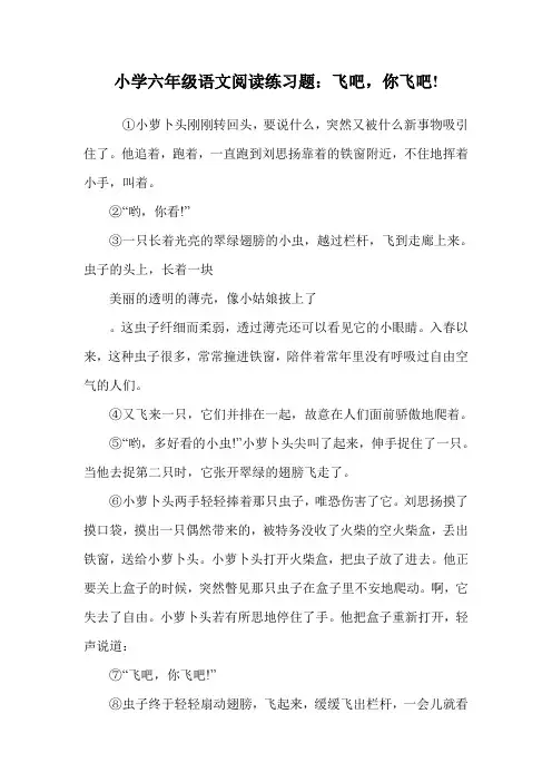 小学六年级语文阅读练习题：飞吧,你飞吧!.doc