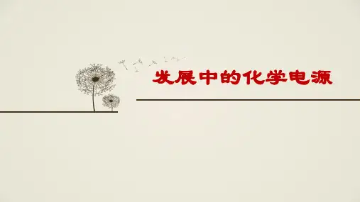发展中的化学电源