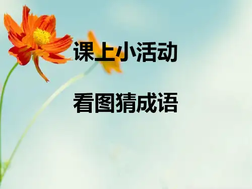 课上活动 看图识成语