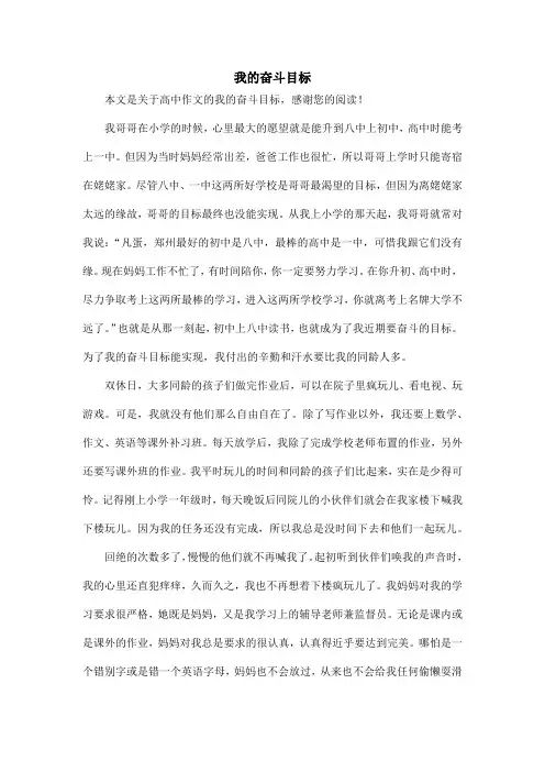 我的奋斗目标_高中作文