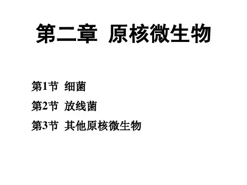 水产微生物学：第二章 原核微生物