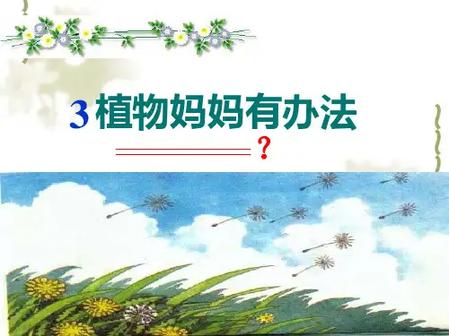 新版部编本二年级上册语文第3课《植物妈妈有办法》-1精品PPT课件