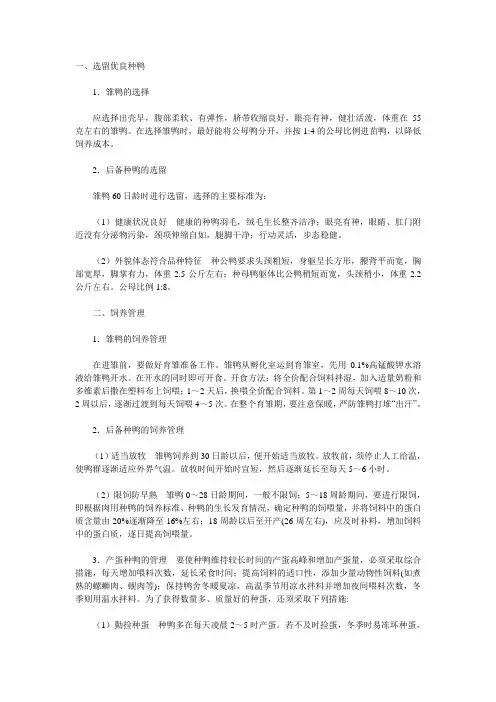 肉用种鸭的饲养管理