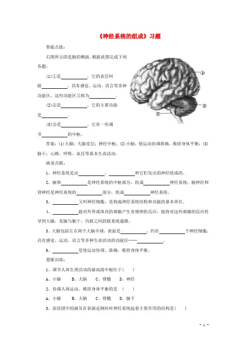 七年级生物下册 神经系统的组成课堂习题 新人教版