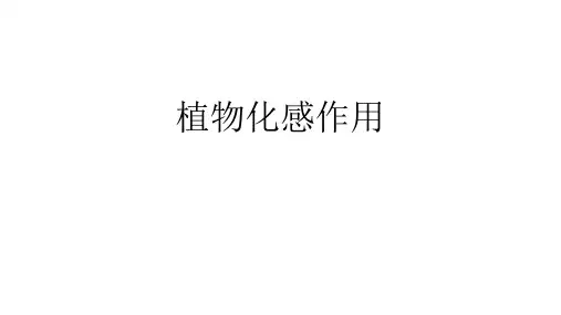 植物化感作用