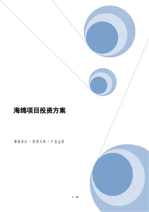 海绵项目投资方案