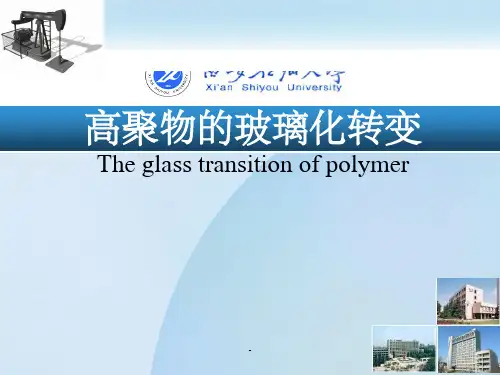 高聚物的玻璃化转变ppt