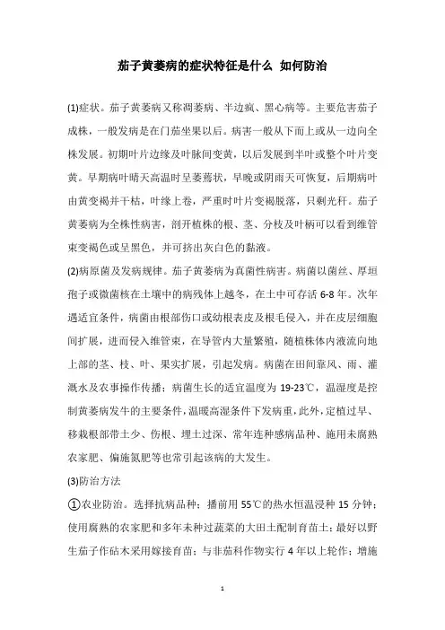 茄子黄萎病的症状特征是什么 如何防治
