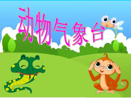 中班下 主题动物气象台课件