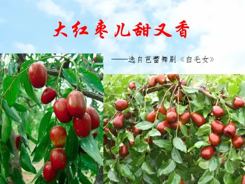 《大红枣儿甜又香》课件