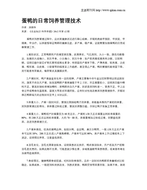 蛋鸭的日常饲养管理技术