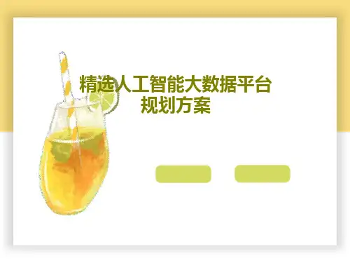 精选人工智能大数据平台规划方案共25页