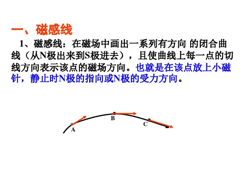 几种常见的磁场 ppt