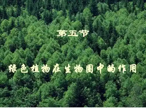 七年级生物绿色植物在生物圈中的作用