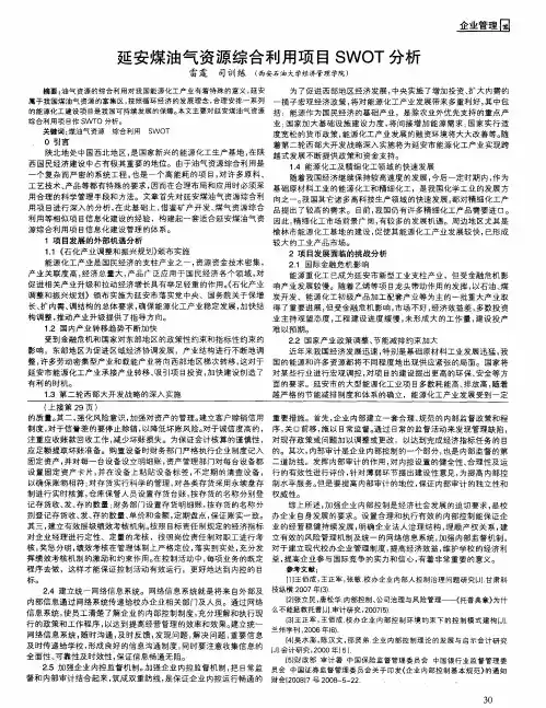 延安煤油气资源综合利用项目SWOT分析