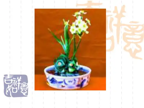利息理论课件06 金融课件