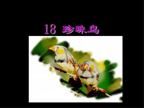 五年级语文珍珠鸟