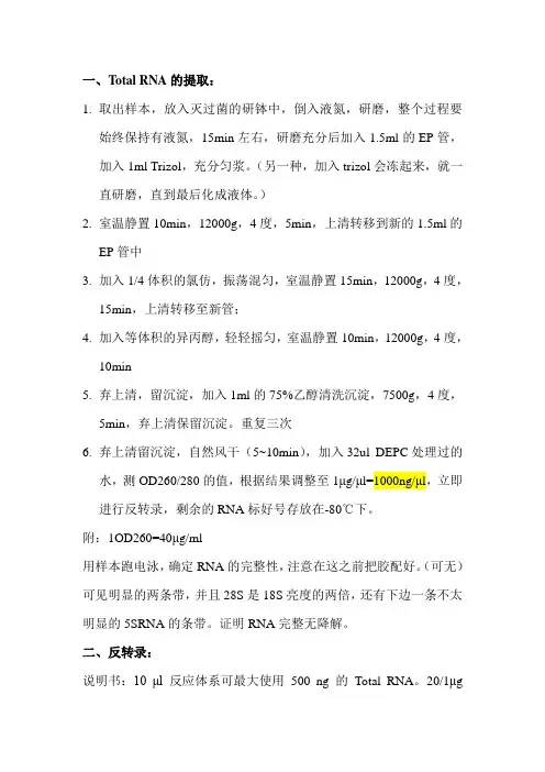 qPCR流程图