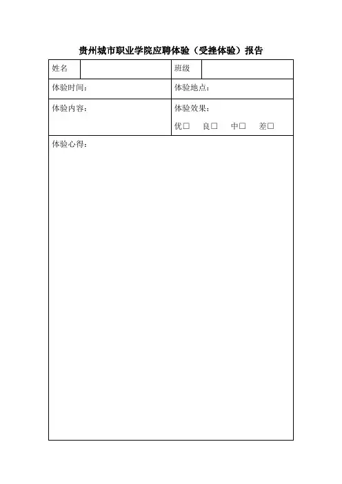 受挫体验报告