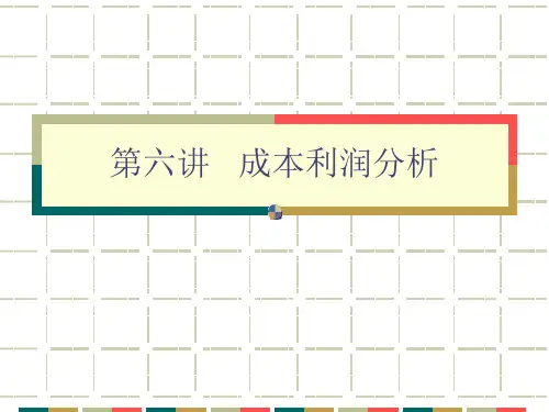 管理经济学第六讲 成本利润分析2009