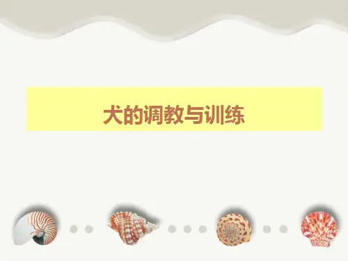 犬的训练