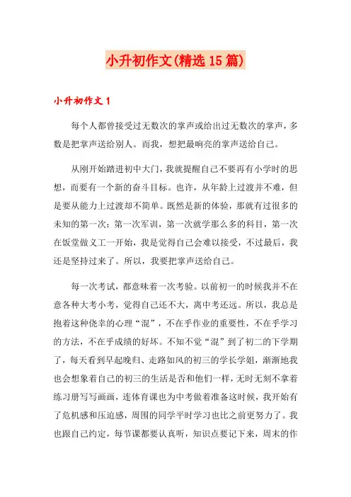 小升初作文(精选15篇)