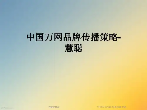 中国万网品牌传播策略慧聪