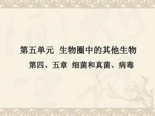 细菌和真菌、病毒 PPT课件 人教版