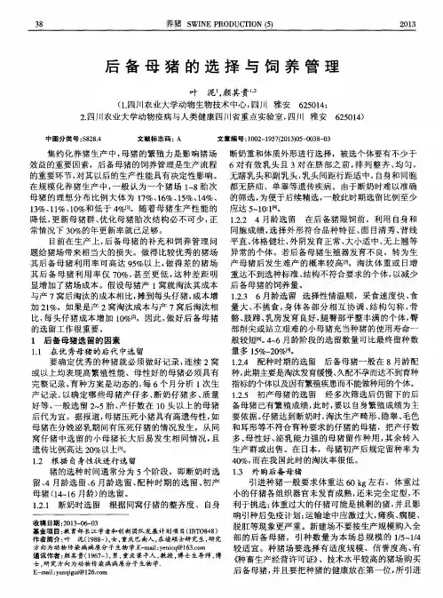 后备母猪的选择与饲养管理