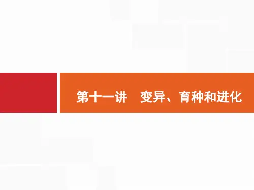 2019届高考生物二轮专题复习课件第11讲 变异、育种和进化