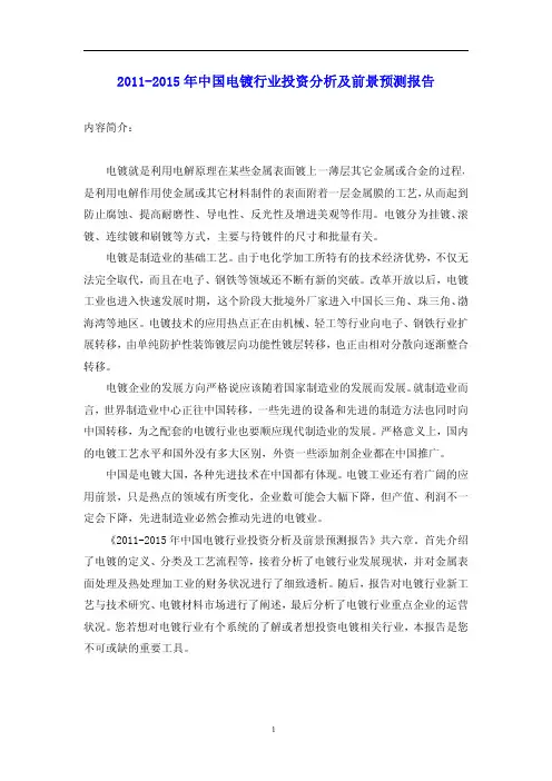 中国电镀行业投资分析报告