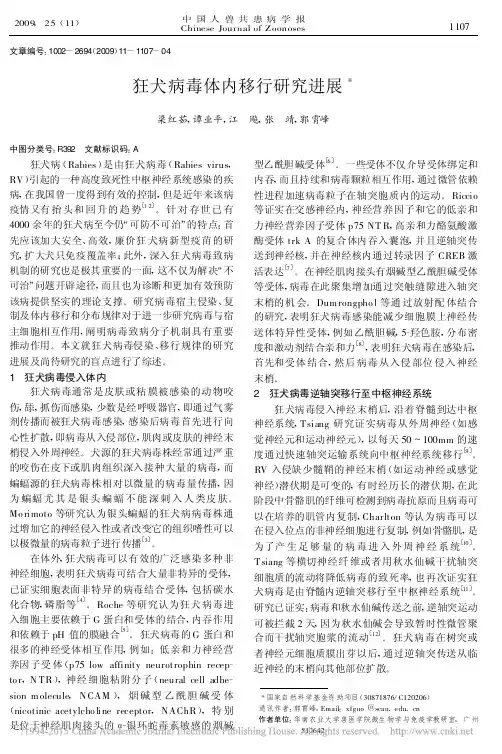 狂犬病毒体内移行研究进展_梁红茹