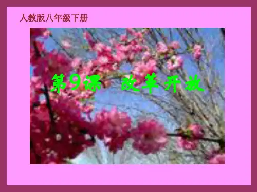 八下 9 改革开放
