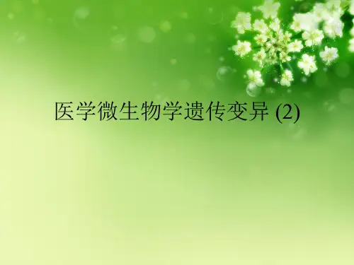 医学微生物学遗传变异 (2)优秀课件