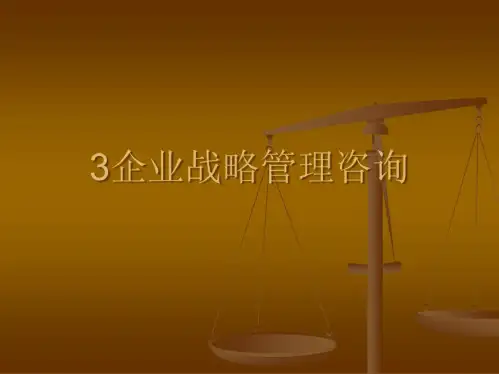 企业战略管理咨询(PPT18)