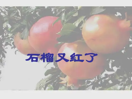 语文版小学五年级语文上册石榴又红了_课件1