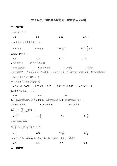 六年级下册试题--2019年小升初数学专题练习：数的认识及运算人教课标版含答案