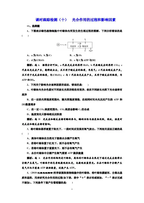 2019版高考生物新三维(通用版)一轮课时跟踪检测(十) 光合作用的过程和影响因素 Word版含解析