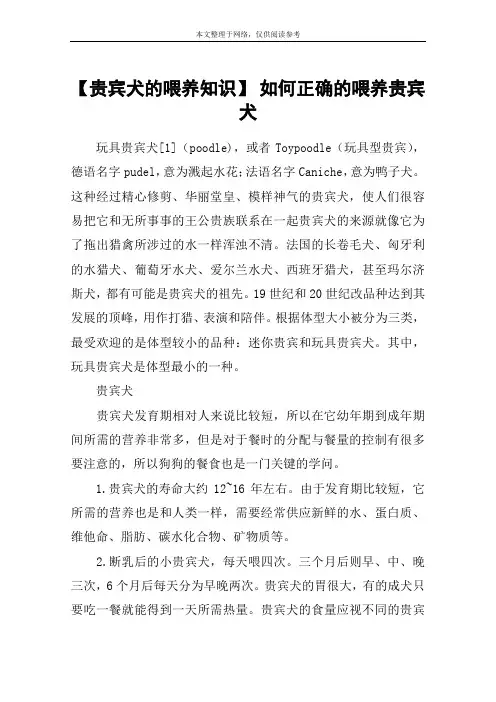 【贵宾犬的喂养知识】 如何正确的喂养贵宾犬