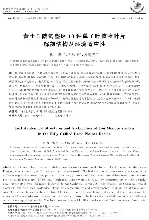黄土丘陵沟壑区10种单子叶植物叶片解剖结构及环境适应性
